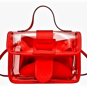 Red Mini Handbag Clear Cluth Purse